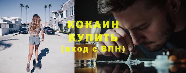 МДПВ Гусев