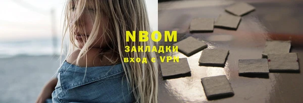 сатива Дмитриев