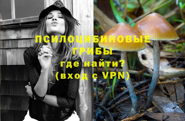 альфа пвп Гусь-Хрустальный