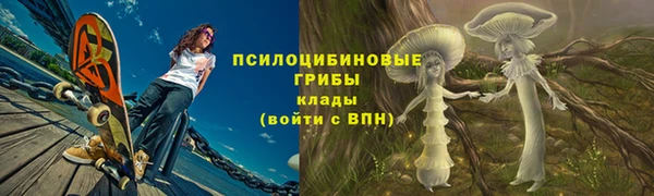 альфа пвп Гусь-Хрустальный
