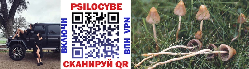 Галлюциногенные грибы GOLDEN TEACHER  Норильск 